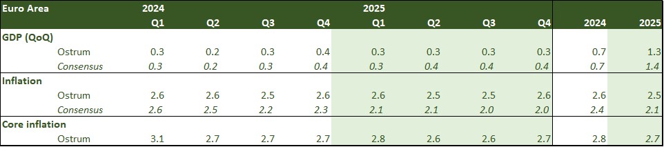 euro-area-2024-2025