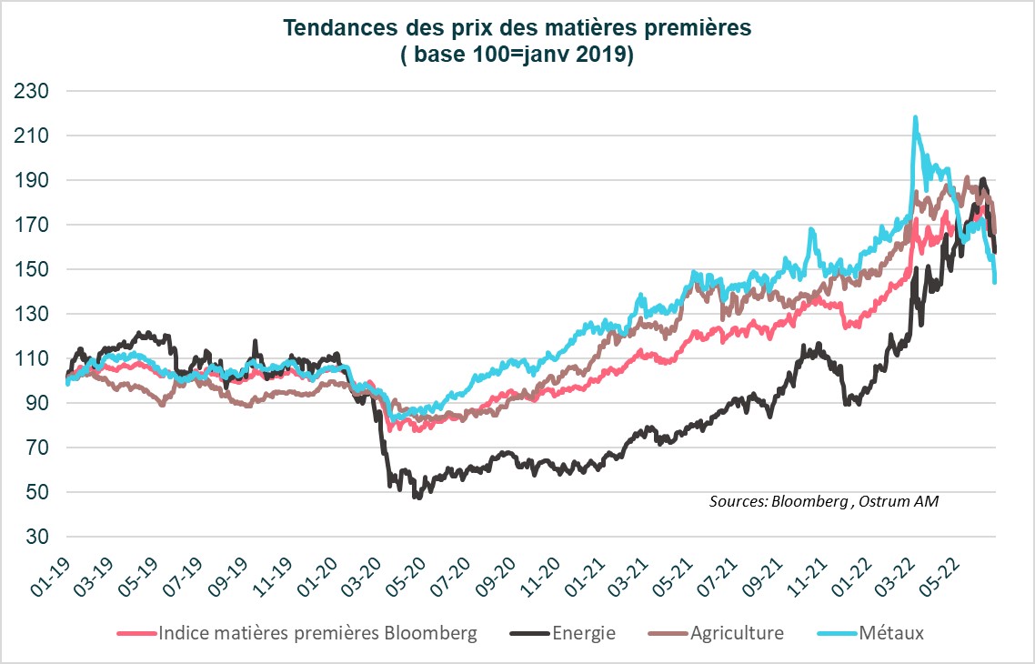 tendances-des-prix-des-matieres-premieres-base-100-janv-2019