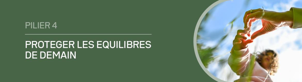 Pilier 4