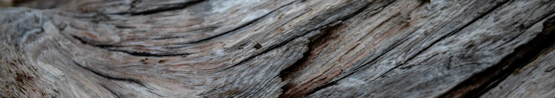MySustainableCorner – May 2024