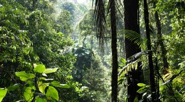 content.field_image['#items'].alt