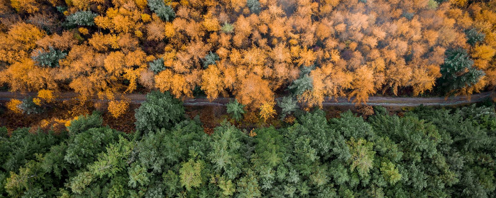 Obligations durables : identifier de nouvelles perspectives pour l’investissement ESG