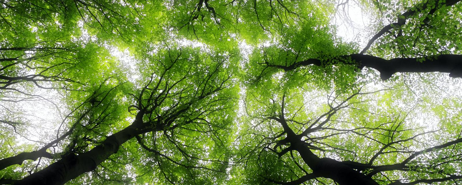 La transition juste : une stratégie d'investissement à impact climatique et social