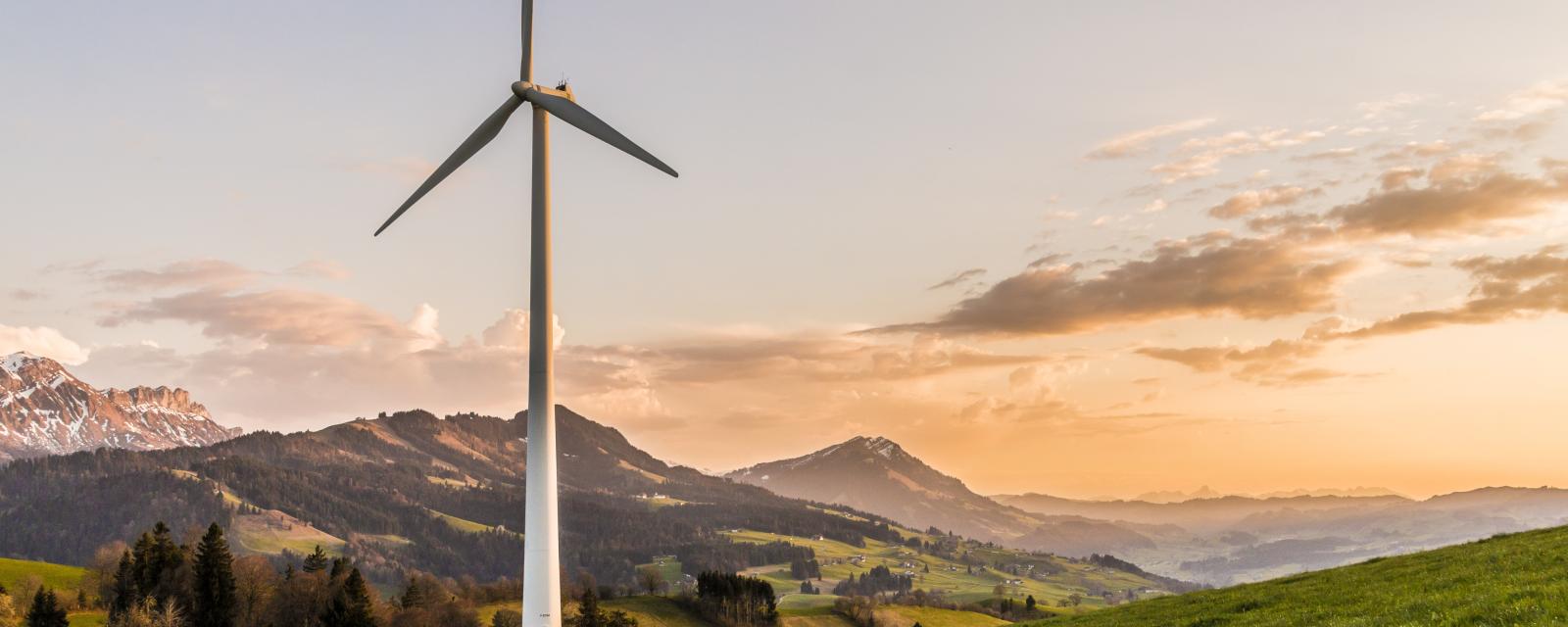 MySustainableCorner – October 2025