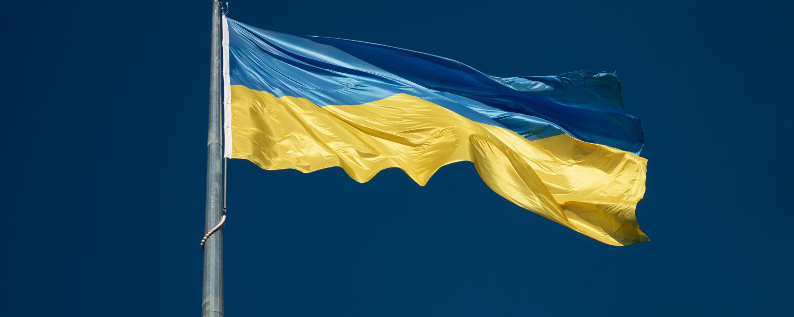 Ukraine crisis
