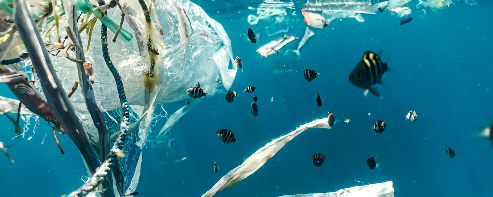 Ostrum AM s’engage contre la pollution au plastique