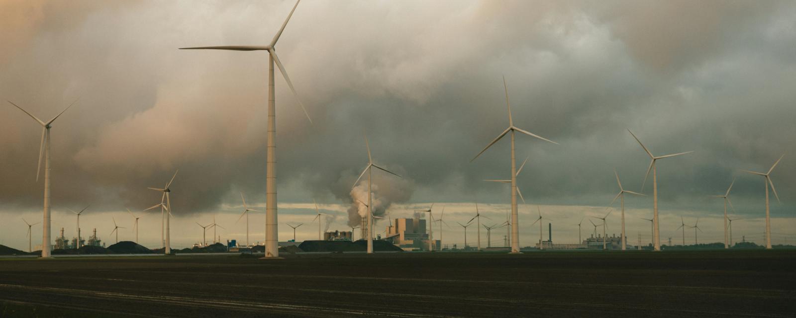 MySustainableCorner – février 2024