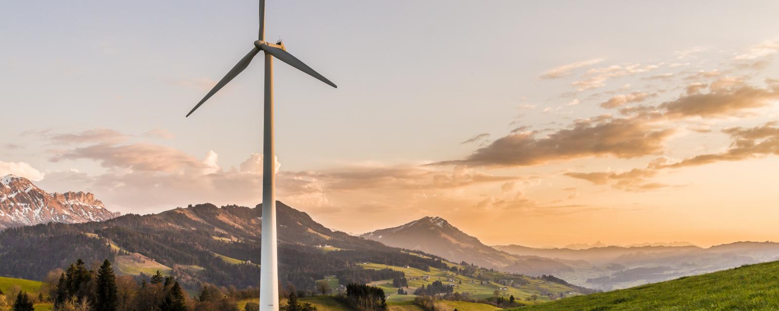 Fit for 55 : l’Europe prend la tête du combat contre le réchauffement climatique
