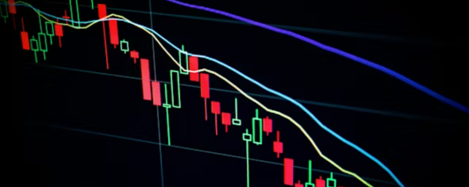 Why diversification is back on investors’ radars