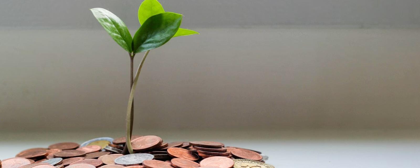 Sustainable bonds: significant changes in a thriving market