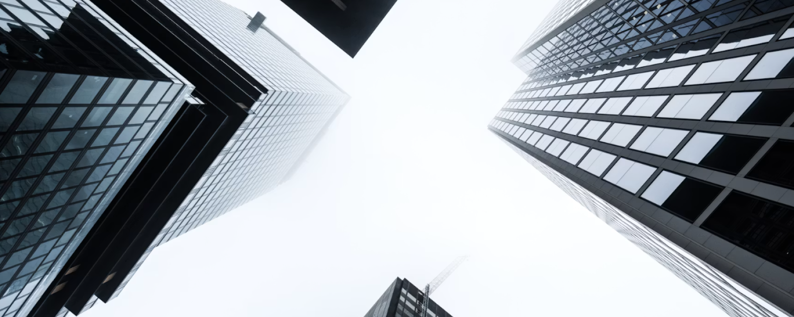 Market Pulse - Ostrum AM's quarterly market views and investment convictions
