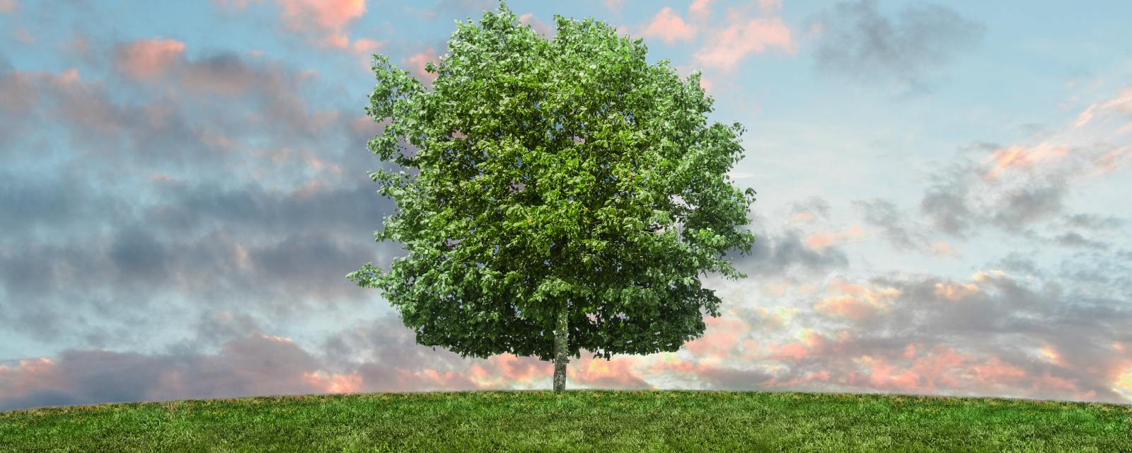 Sustainable Bonds – Market Comment