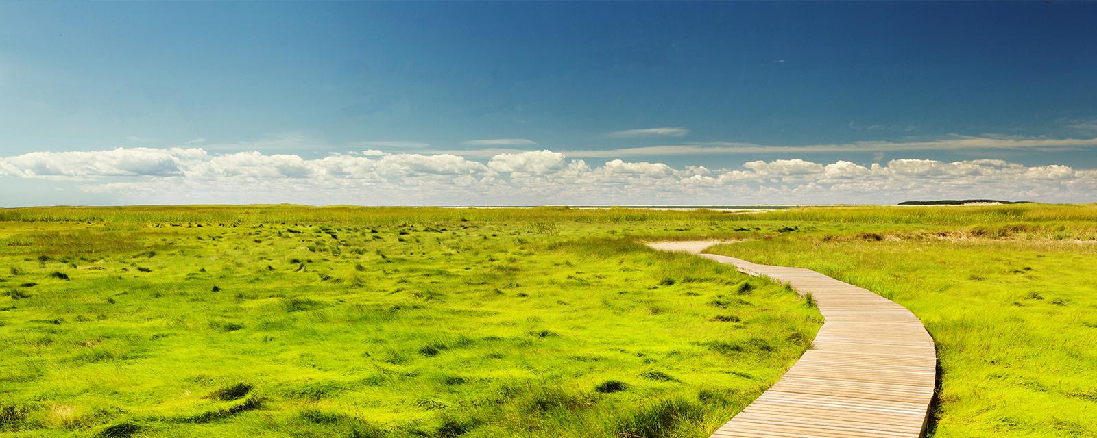 MySustainableCorner – mai 2025